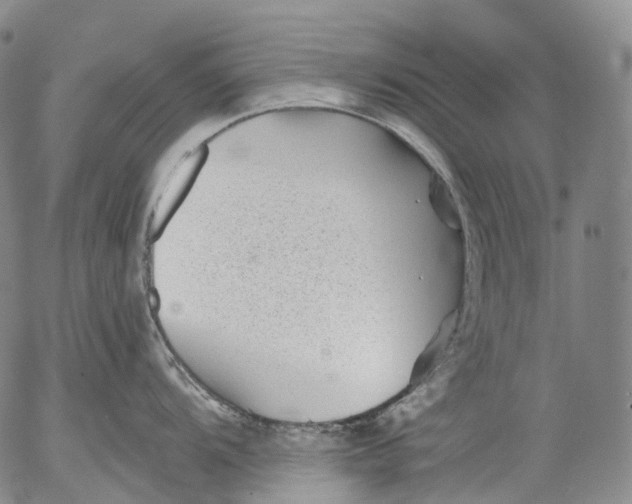 X0000052981104200507291545