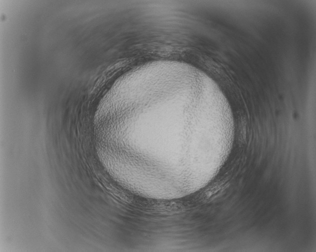 X0000052981105200507291544