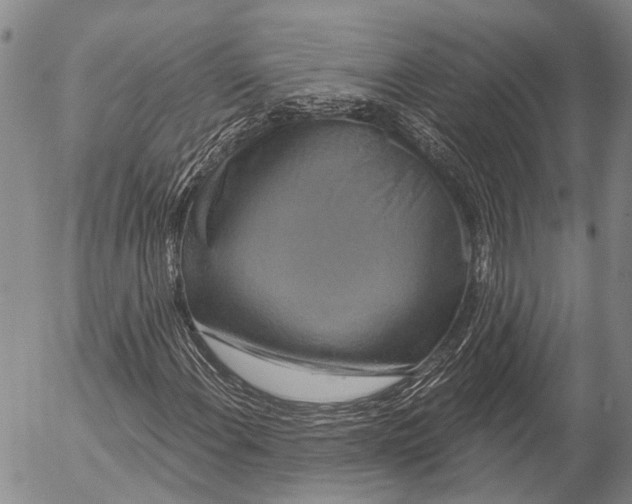 X0000052981108200507291544