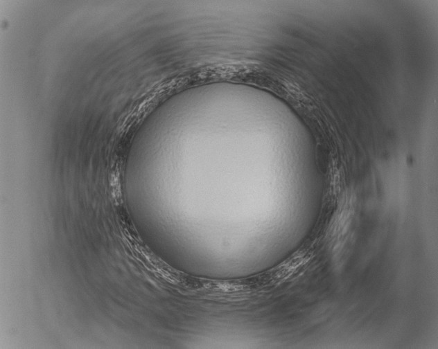 X0000052981109200507291544