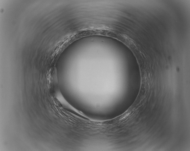 X0000052981110200507291544