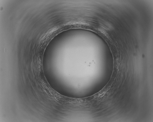 X0000052981111200507291544