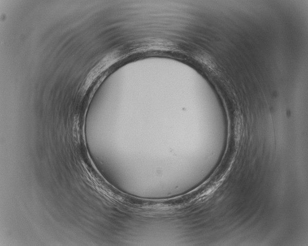 X0000052981113200507291544