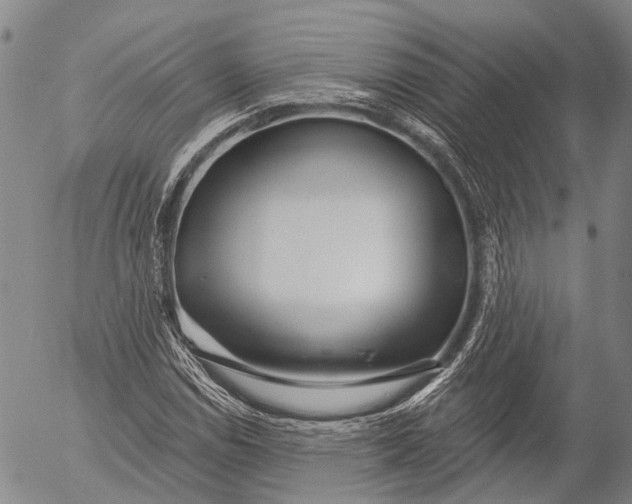 X0000052981114200507291544