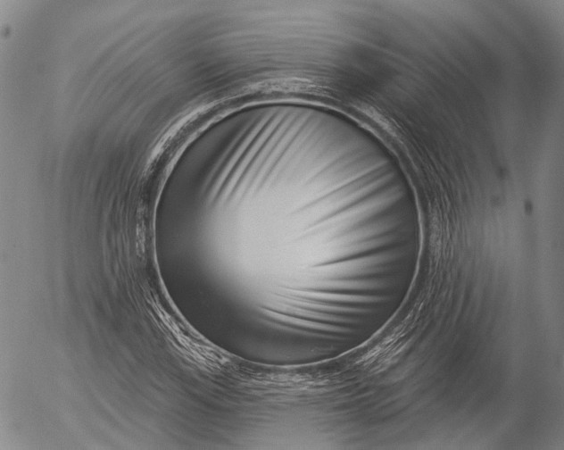 X0000052981115200507291544