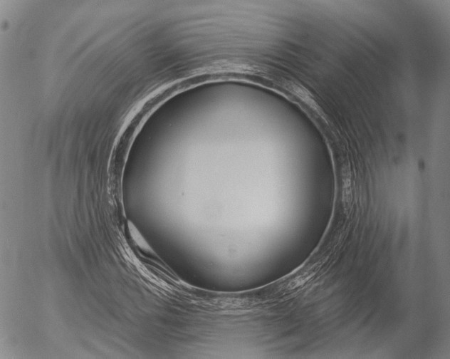 X0000052981116200507291544