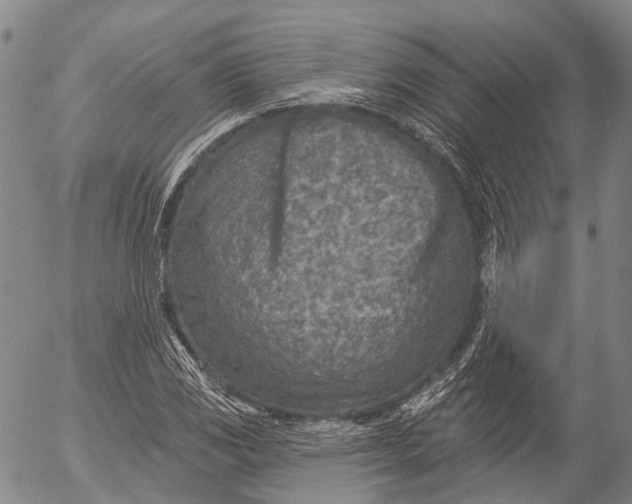 X0000052981117200507291545