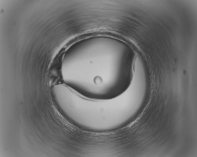 X0000052981118200507291545