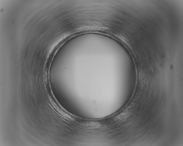 X0000052981119200507291545