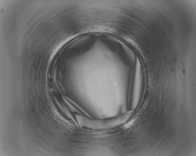 X0000052981120200507291545