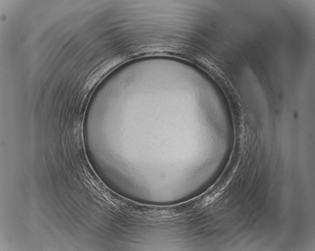 X0000052981121200507291545