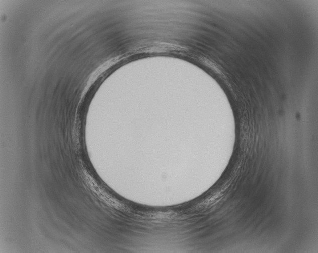 X0000052981122200507291545