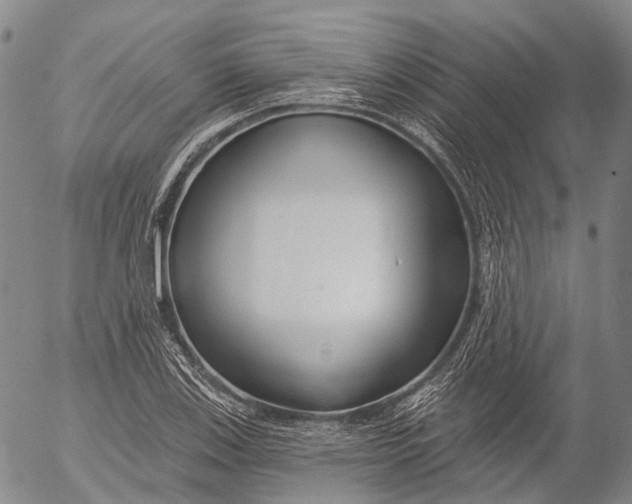 X0000052981123200507291545