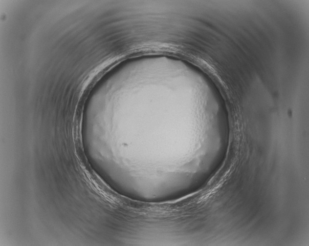 X0000052981125200507291545