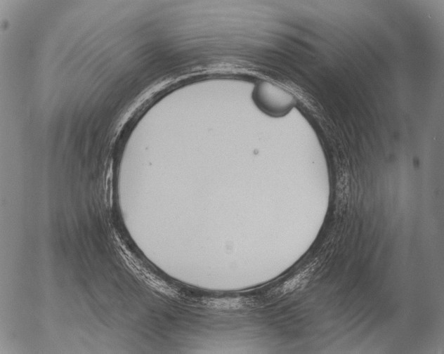 X0000052981126200507291545