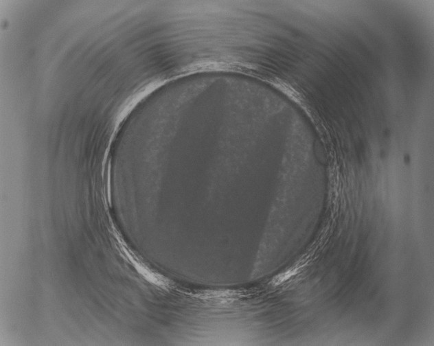 X0000052981127200507291545