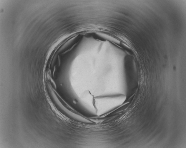 X0000052981128200507291545