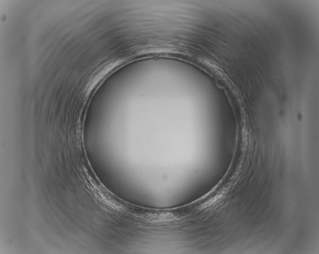 X0000052981129200507291545