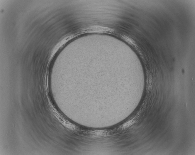 X0000052981130200507291545