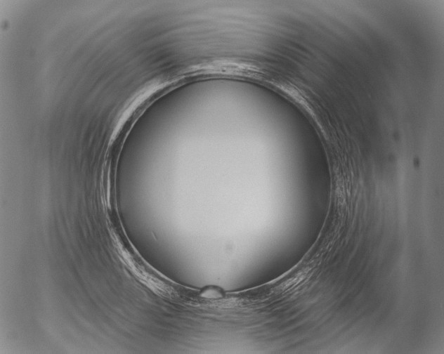 X0000052981131200507291545