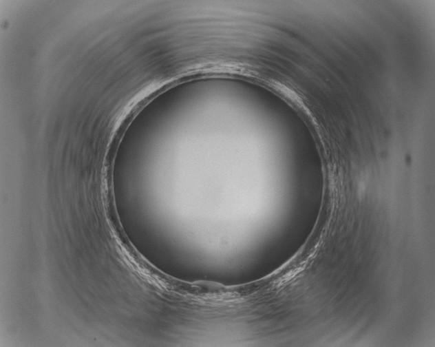 X0000052981133200507291545