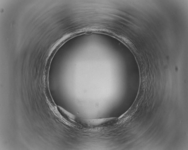 X0000052981134200507291545