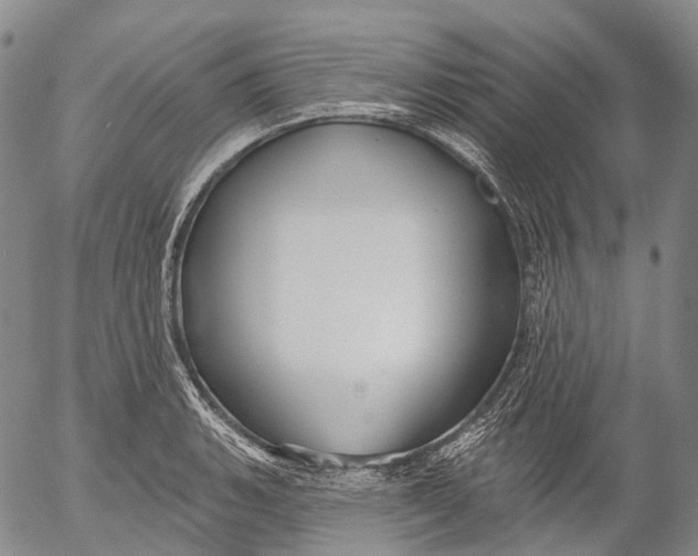 X0000052981135200507291545