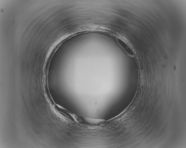 X0000052981136200507291545