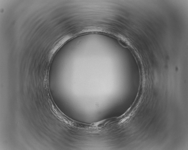 X0000052981137200507291545