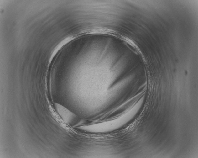 X0000052981138200507291545