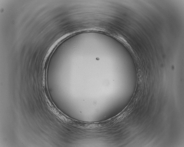 X0000052981140200507291545