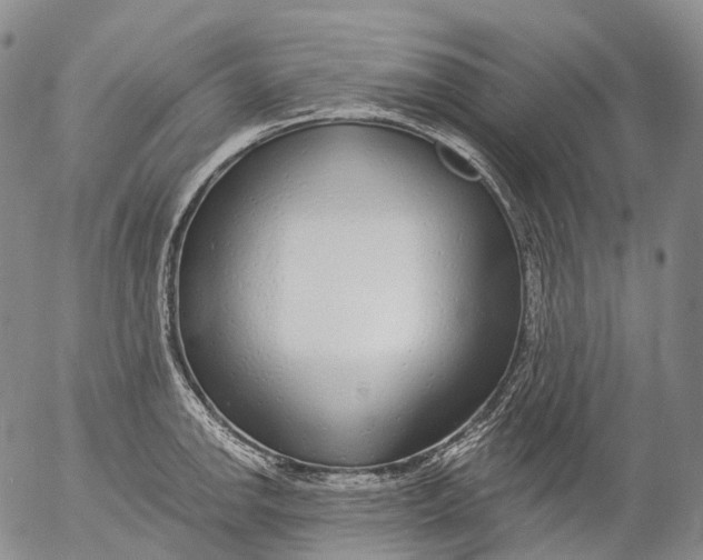 X0000052981142200507291545