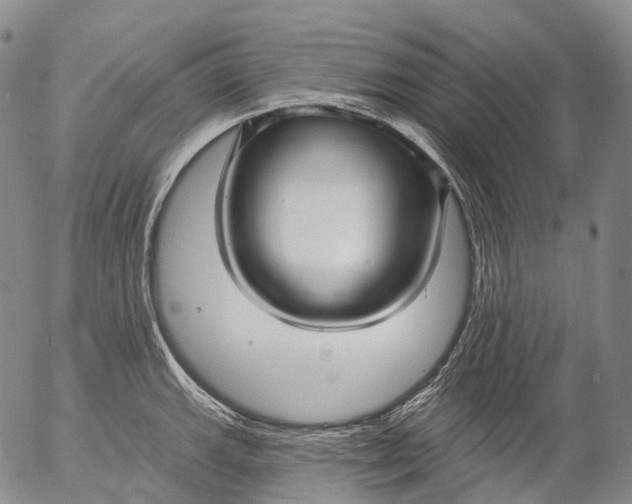 X0000052981143200507291545