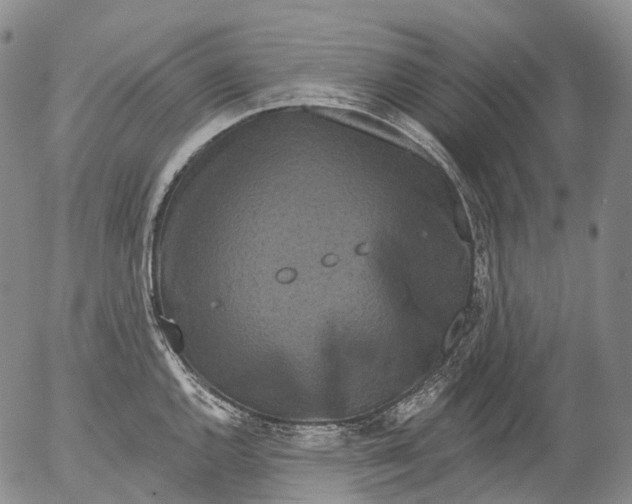 X0000052981144200507291545