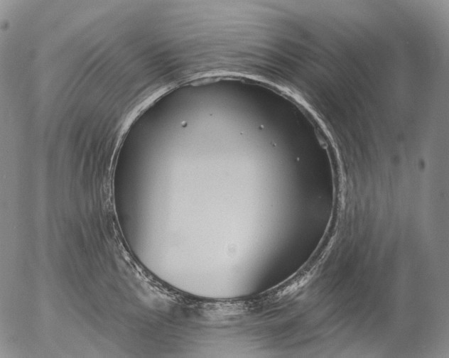 X0000052981145200507291545