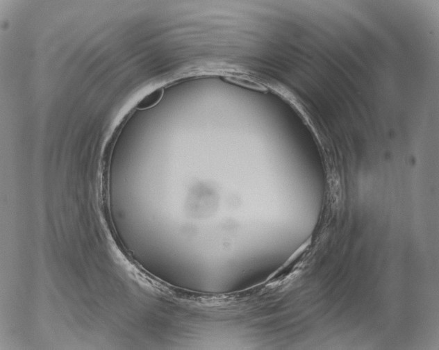 X0000052981147200507291545