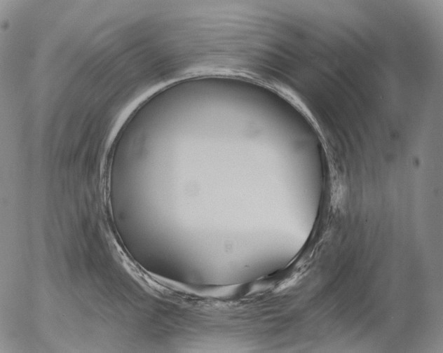 X0000052981148200507291545