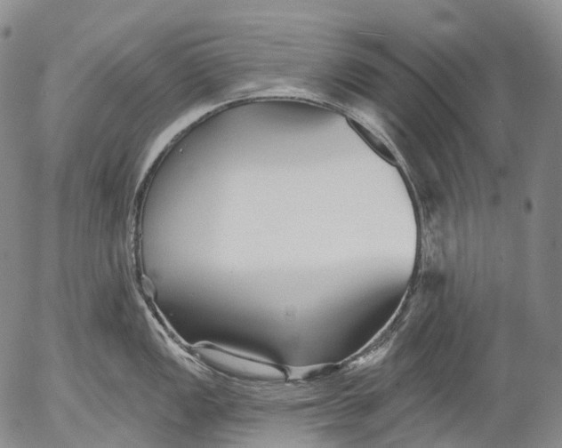 X0000052981149200507291545