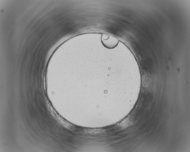 X0000052981150200507291545