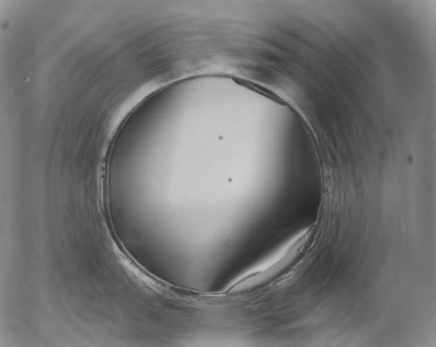 X0000052981151200507291545