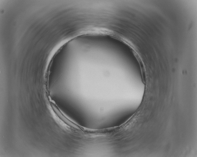 X0000052981152200507291545