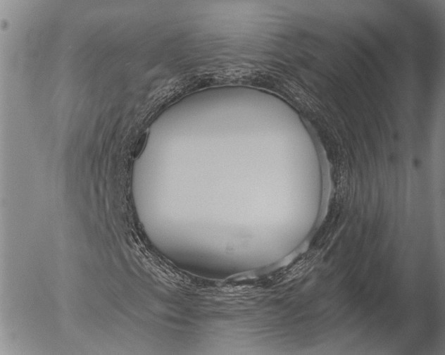 X0000052981153200507291544