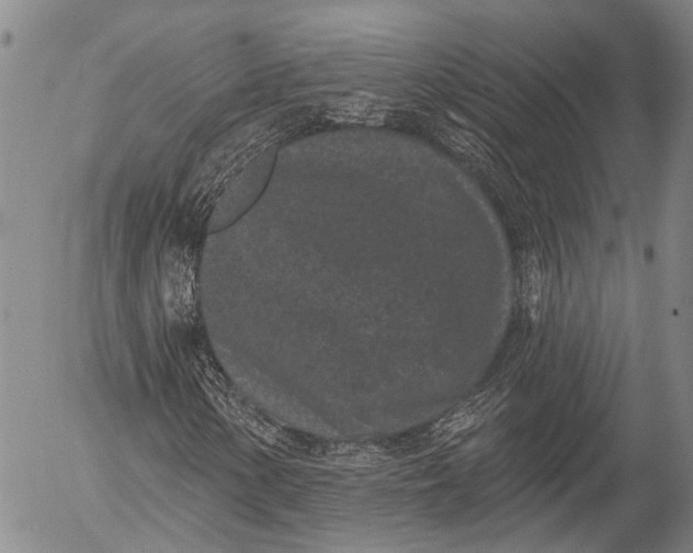 X0000052981154200507291544