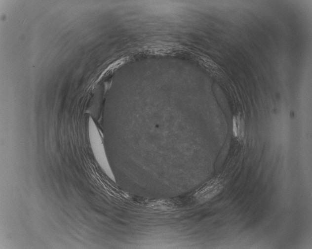 X0000052981155200507291544