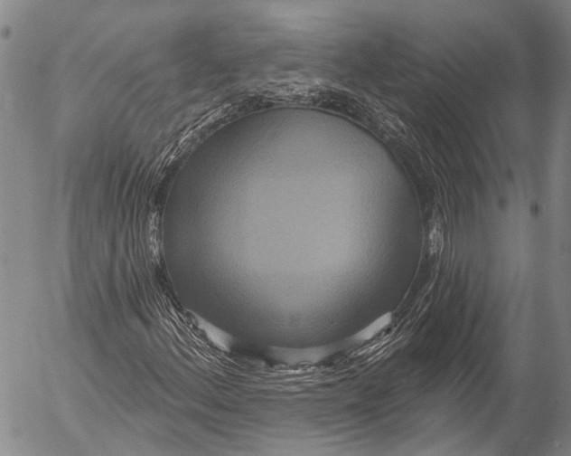 X0000052981156200507291544