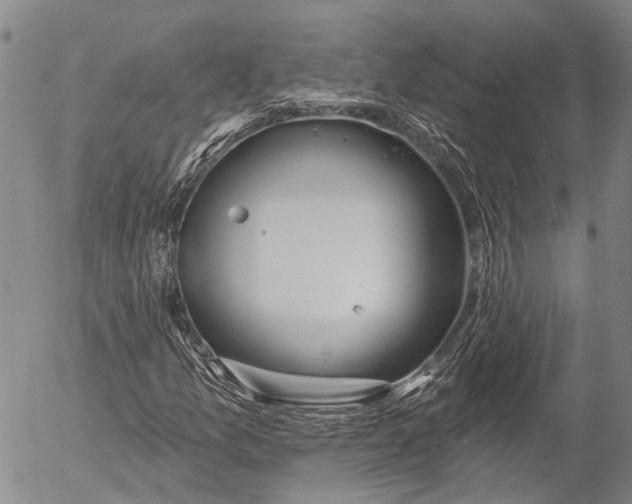 X0000052981157200507291544