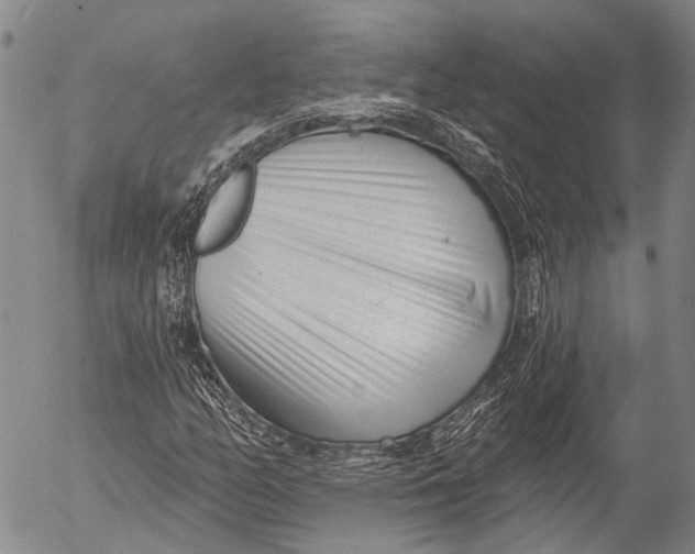 X0000052981158200507291544