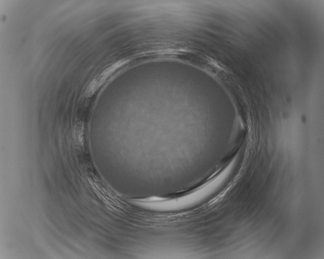 X0000052981161200507291544