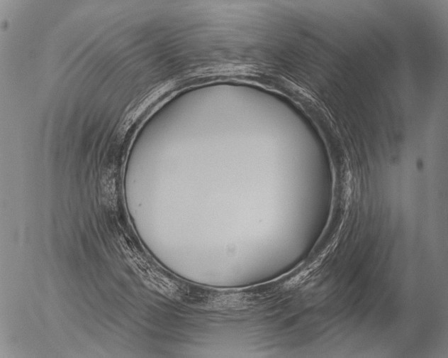 X0000052981162200507291544