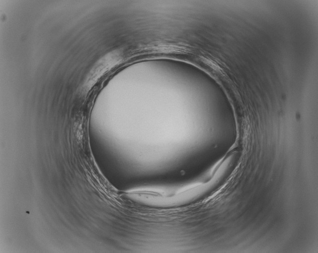 X0000052981163200507291544